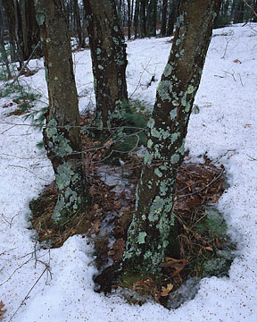 321 photo &copy;Scot Miller